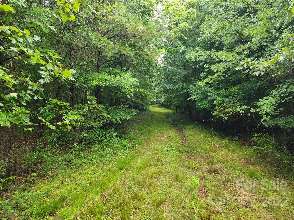 4700 Delight Road Lawndale, NC 28090 - Photo 10 of 28 Gallery Image 10