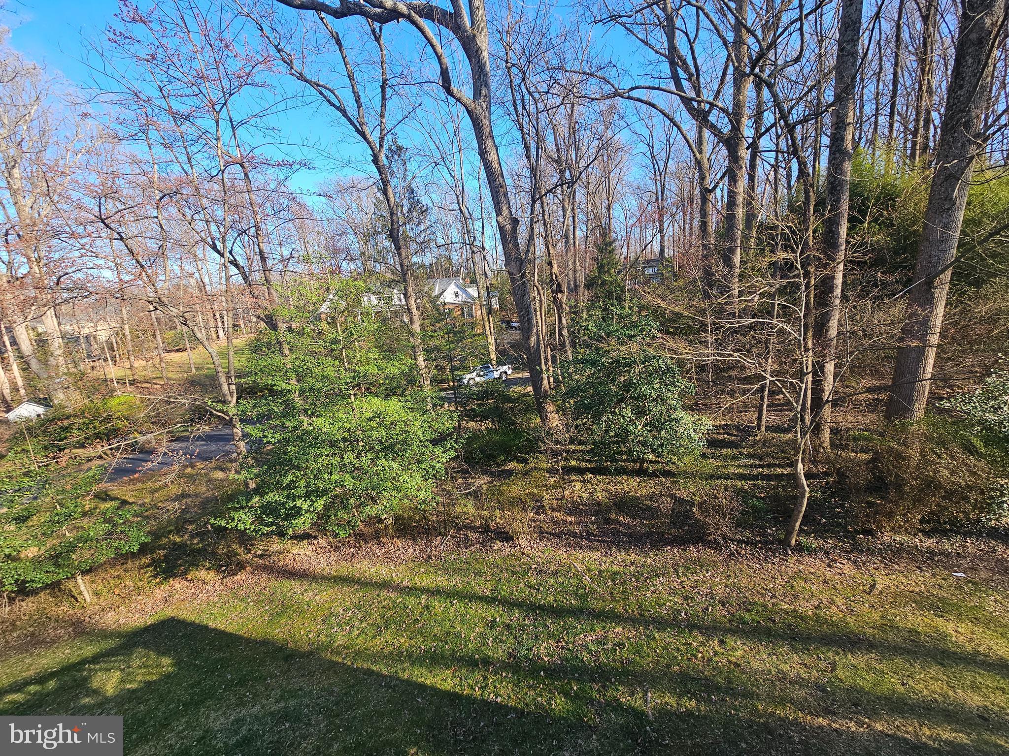 851 Canal Drive McLean, VA 22102 - Photo 42 of 50 a view of backyard with green space