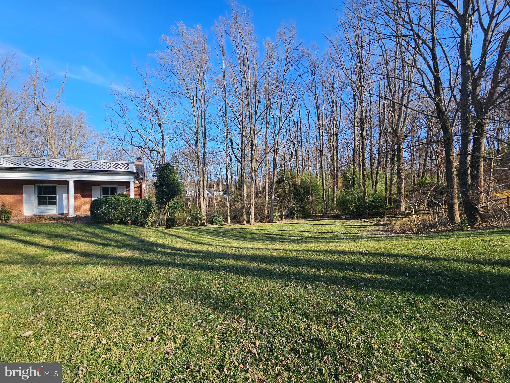 851 Canal Drive McLean, VA 22102 - Photo 49 of 50 a big yard with lots of green space and trees