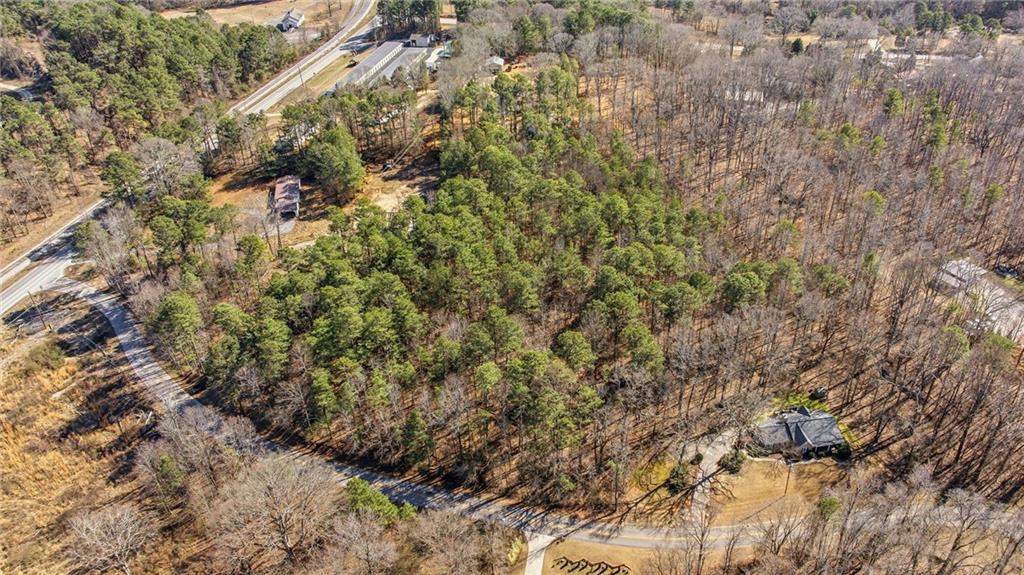 3004 Candler Road Gainesville, GA 30507 - Photo 17 of 27 a view of a forest with a tree