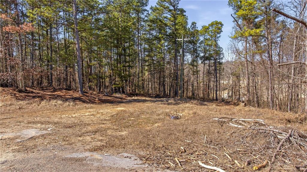 3004 Candler Road Gainesville, GA 30507 - Photo 25 of 27 a view of outdoor space with deck and trees
