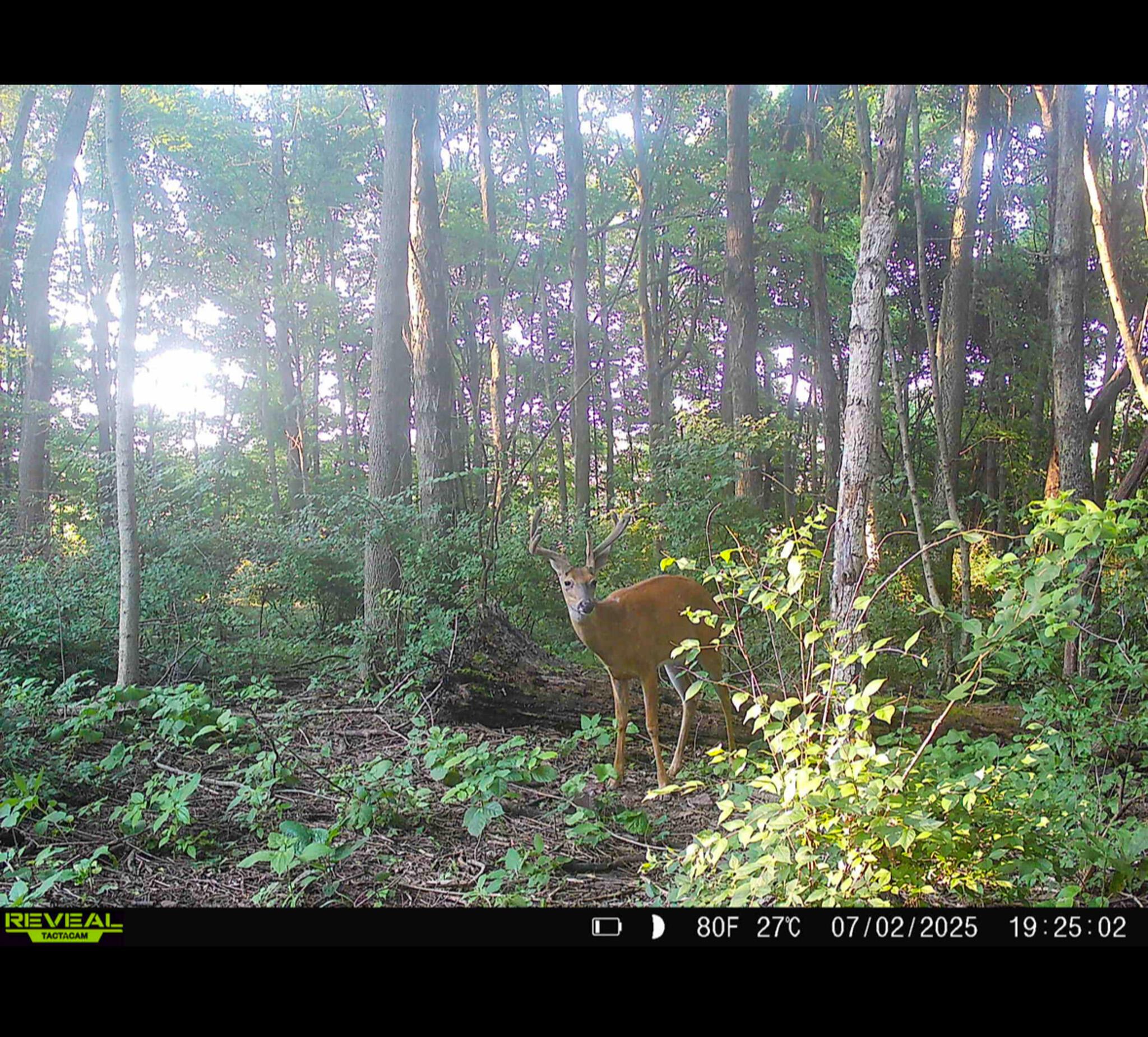 9874 Cincinnati-Zanesville Road Southwest Amanda, OH 43102 - Photo 45 of 50 cinci-zane rd sw-45