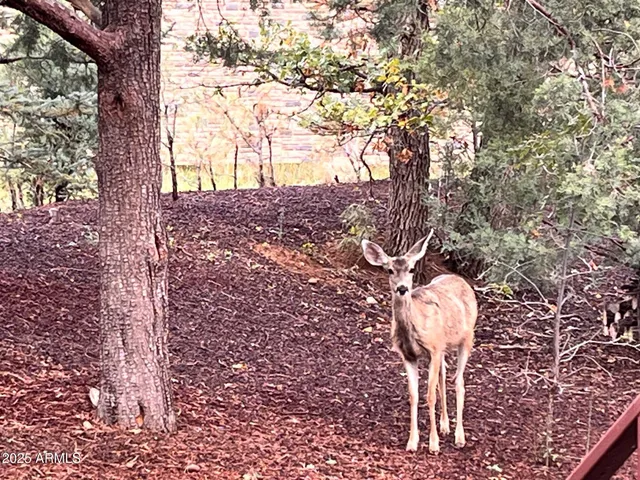 $489,000 | 5410 North St Andrews Drive, Lakeside, AZ 85929