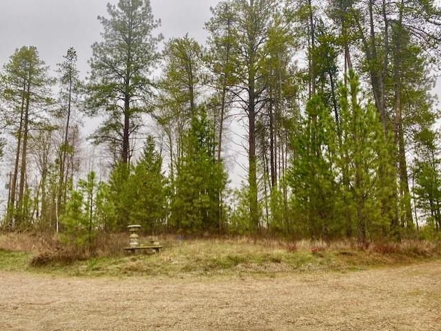 2721 West Montgomery Road Deer Park, WA 99006 - Photo 19 of 23