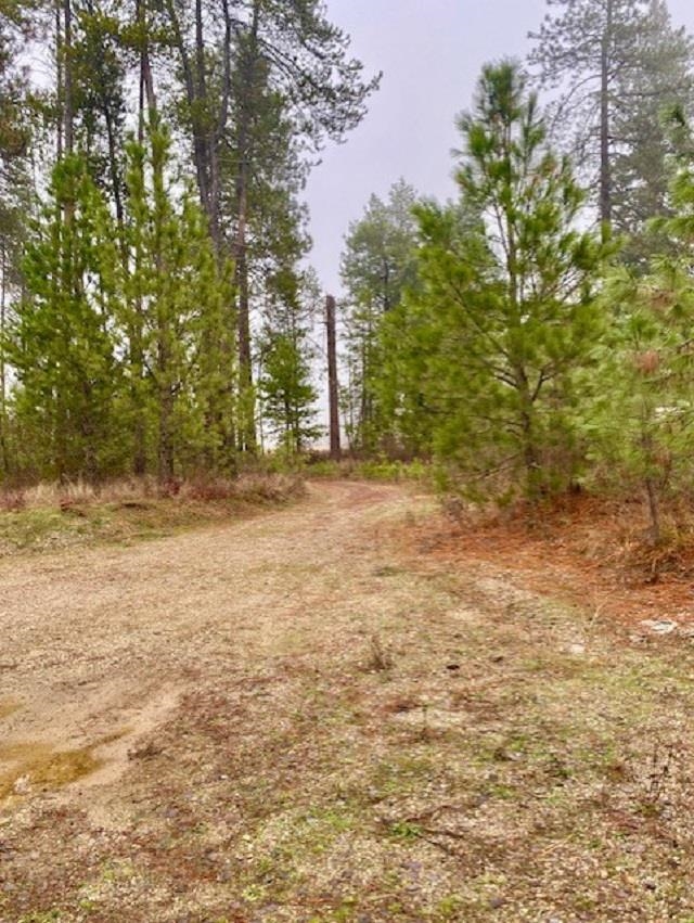 2721 West Montgomery Road Deer Park, WA 99006 - Photo 22 of 23