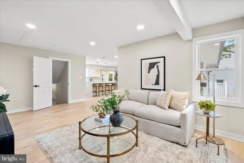 a living room with furniture potted plant and a wooden floor