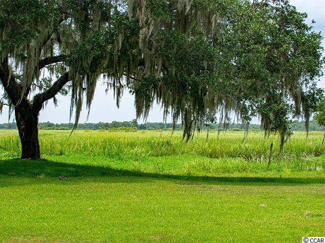 582 Tucker Road Pawleys Island, SC 29585 - Photo 29 of 40 Gallery Image 29
