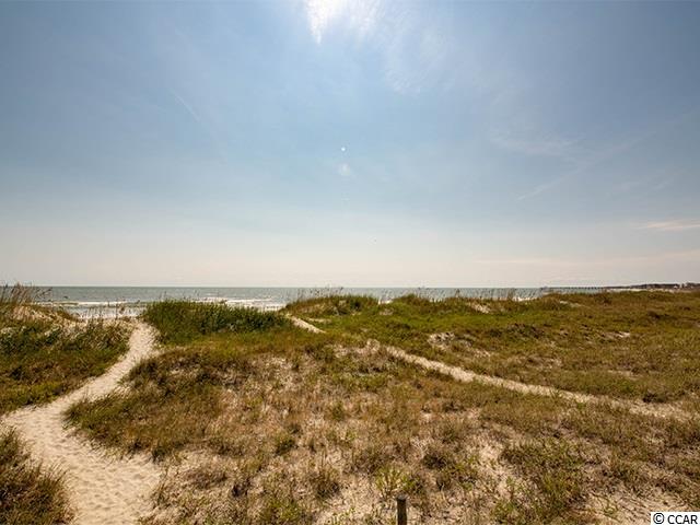 582 Tucker Road Pawleys Island, SC 29585 - Photo 38 of 40 Gallery Image 38