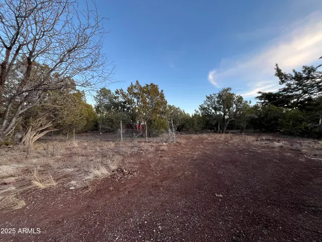 a view of a field with trees in the background