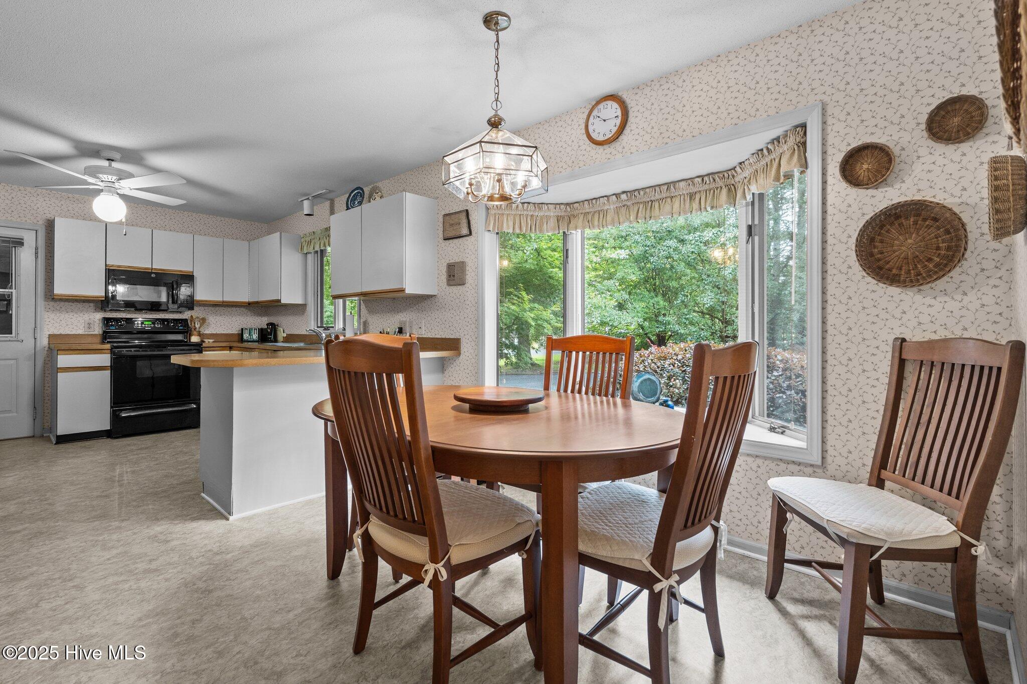 106 Millstone Road West End, NC 27376 - Photo 15 of 50 33-web-or-mls-DSC09945
