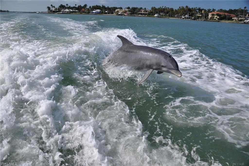 140 Wilderness Cay Naples, FL 34114 - Photo 19 of 20