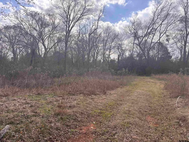 a view of outdoor space and trees