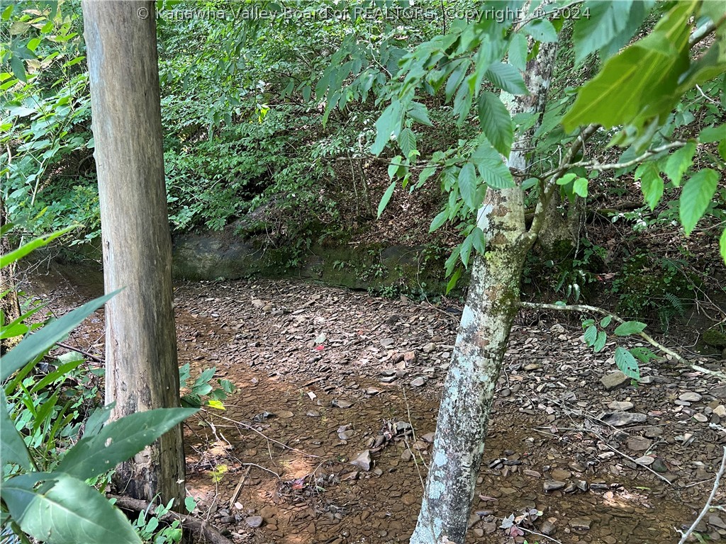 0 Simons Fork Wallback, WV 25285 - Photo 2 of 8 Gallery Image 2