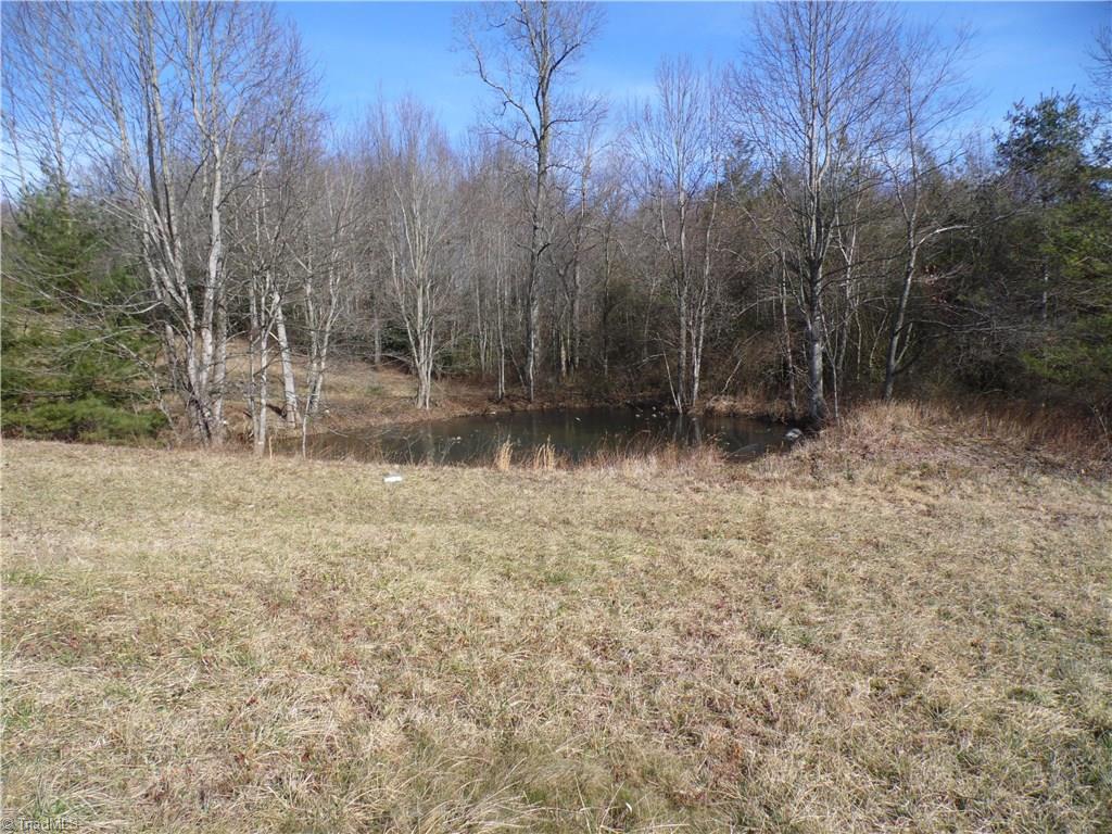 Lot #18 Saddle View Road Ennice, NC 28623 - Photo 7 of 8