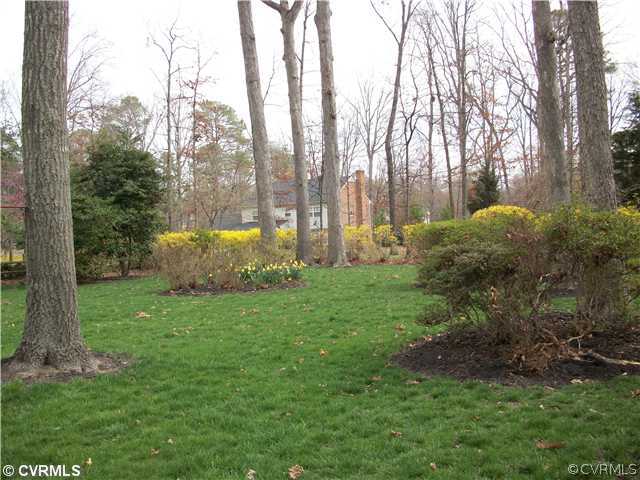 2541 Radstock Road Midlothian, VA 23113 - Photo 11 of 12 a view of backyard with palm trees