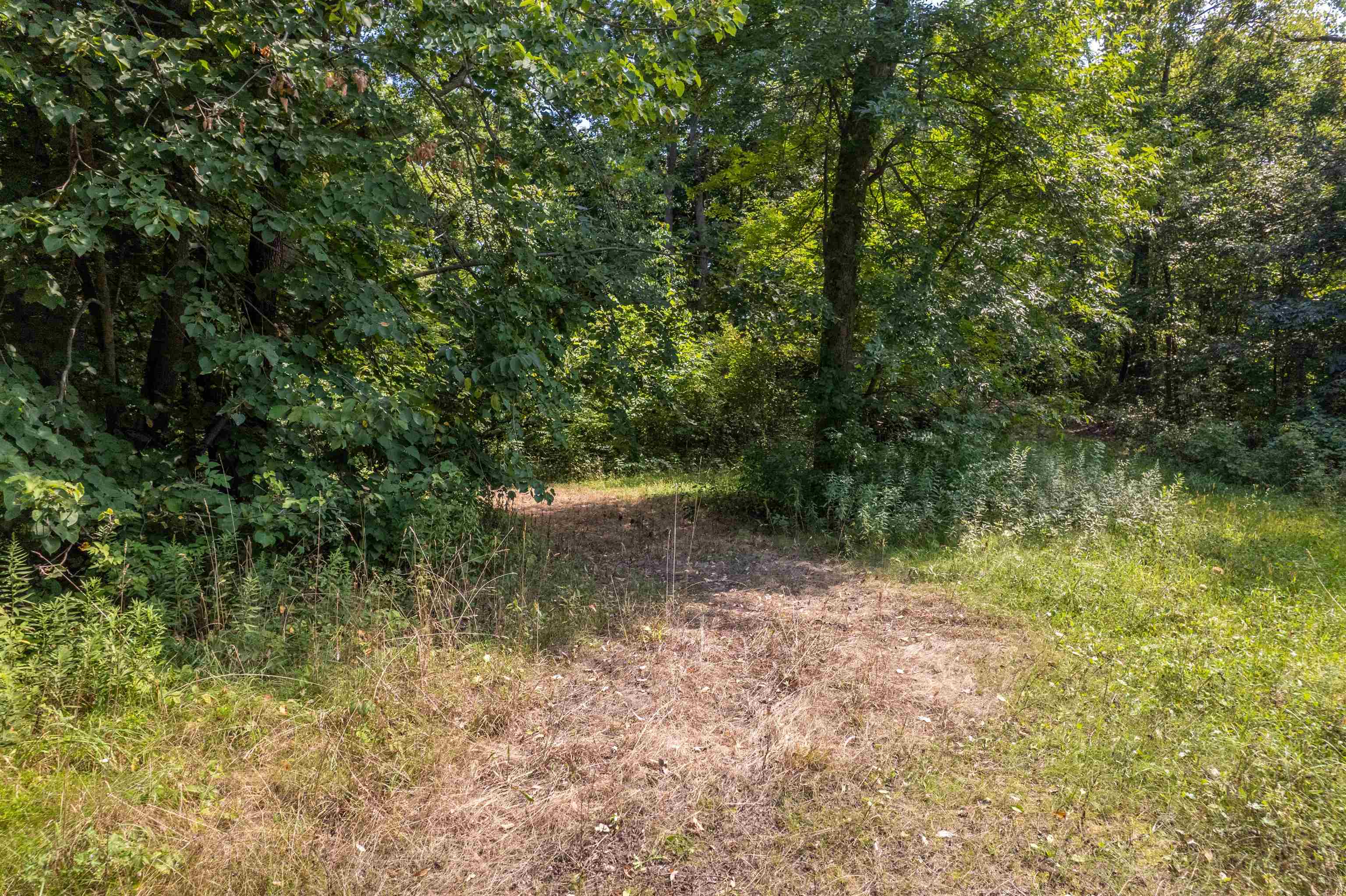 0 West Raders Road Pearl City, IL 61062 - Photo 14 of 74 Gallery Image 14