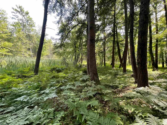 $159,000 | County Road East, Ogdensburg, WI 54962