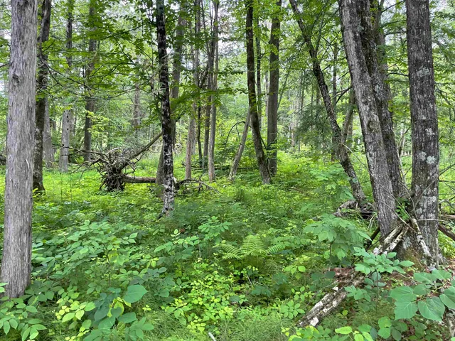 $159,000 | County Road East, Ogdensburg, WI 54962