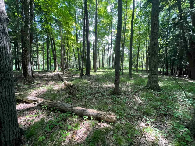 $159,000 | County Road East, Ogdensburg, WI 54962