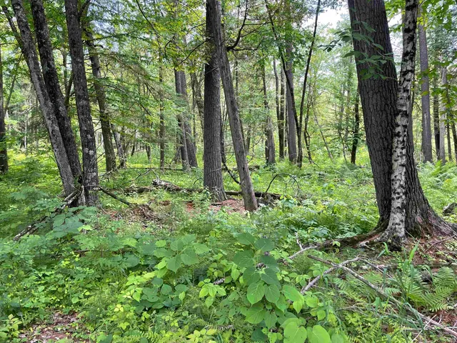 $159,000 | County Road East, Ogdensburg, WI 54962