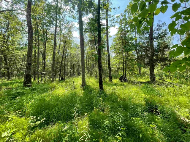 $159,000 | County Road East, Ogdensburg, WI 54962