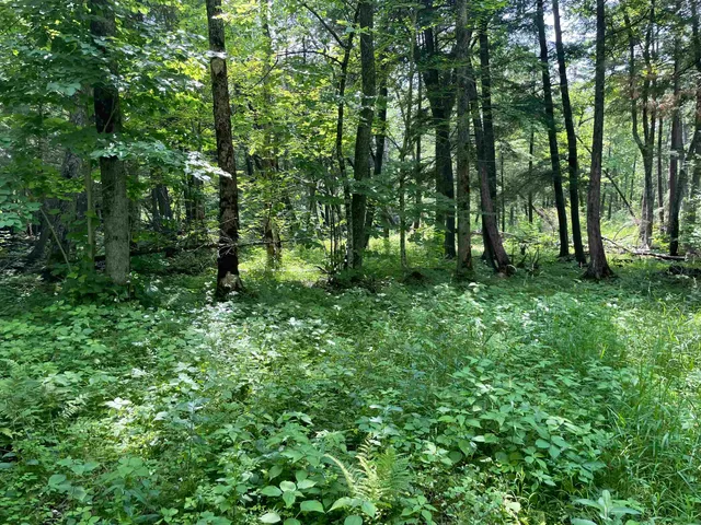 $159,000 | County Road East, Ogdensburg, WI 54962