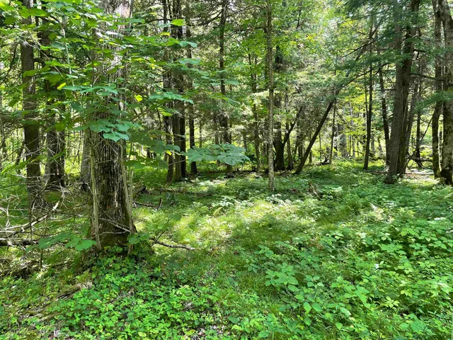 $159,000 | County Road East, Ogdensburg, WI 54962