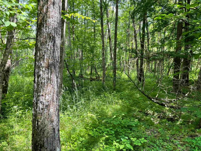 $159,000 | County Road East, Ogdensburg, WI 54962