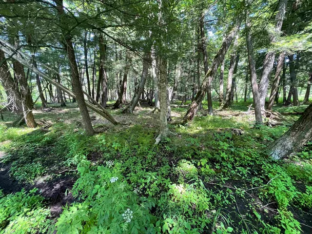 $159,000 | County Road East, Ogdensburg, WI 54962