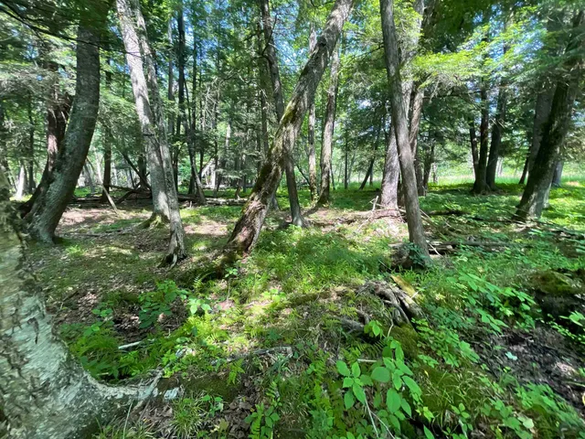 $159,000 | County Road East, Ogdensburg, WI 54962