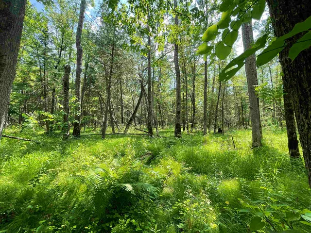 $159,000 | County Road East, Ogdensburg, WI 54962