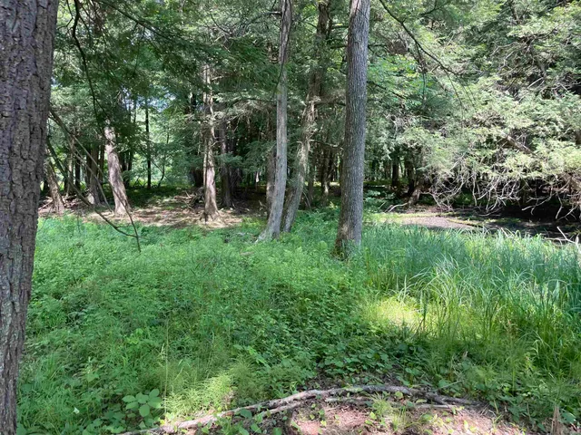 $159,000 | County Road East, Ogdensburg, WI 54962