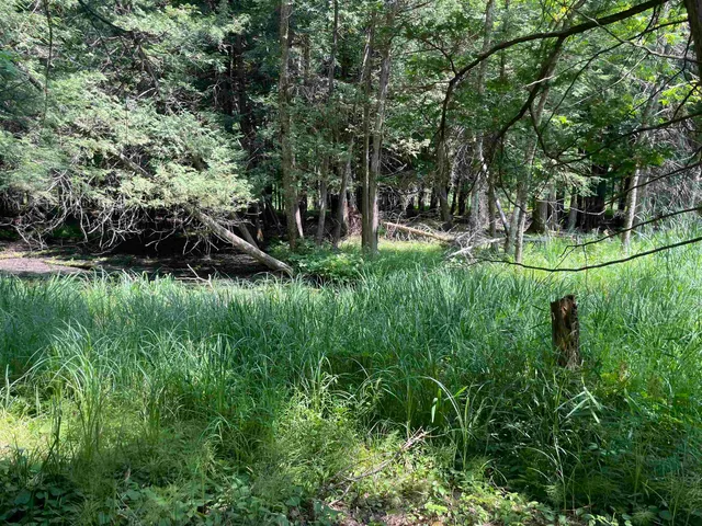 $159,000 | County Road East, Ogdensburg, WI 54962