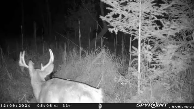 $159,000 | County Road East, Ogdensburg, WI 54962