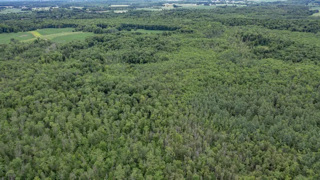 $159,000 | County Road East, Ogdensburg, WI 54962