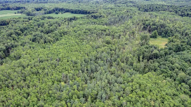 $159,000 | County Road East, Ogdensburg, WI 54962