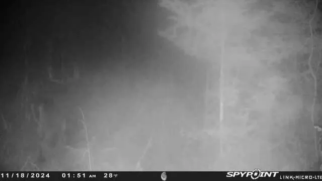 $159,000 | County Road East, Ogdensburg, WI 54962