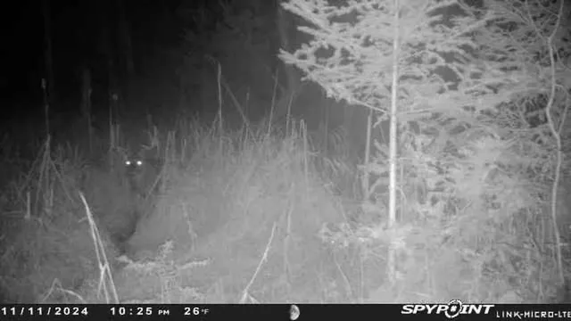 $159,000 | County Road East, Ogdensburg, WI 54962