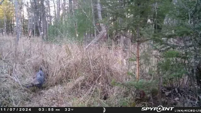 $159,000 | County Road East, Ogdensburg, WI 54962