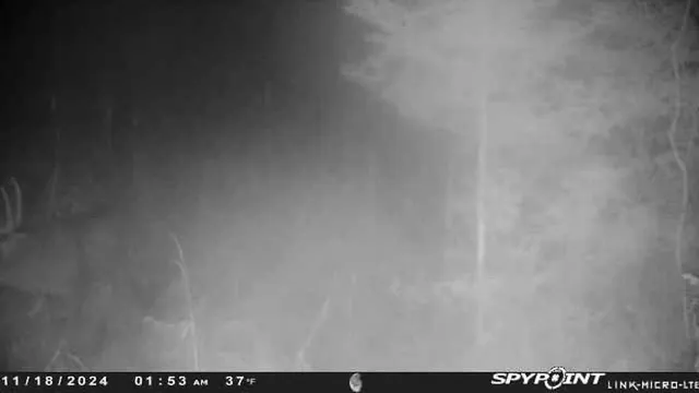 $159,000 | County Road East, Ogdensburg, WI 54962