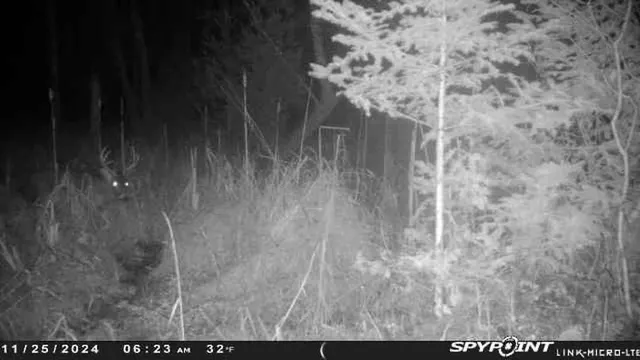 $159,000 | County Road East, Ogdensburg, WI 54962