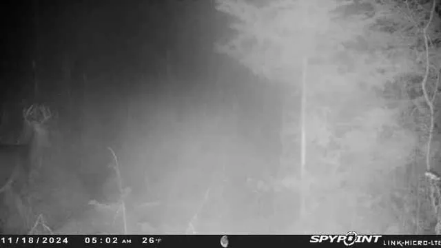 $159,000 | County Road East, Ogdensburg, WI 54962