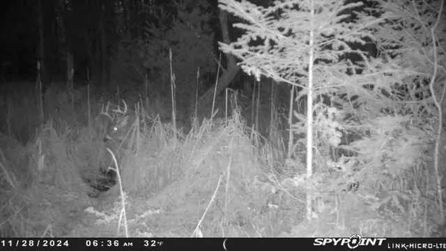 $159,000 | County Road East, Ogdensburg, WI 54962