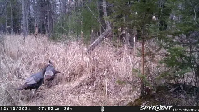 $159,000 | County Road East, Ogdensburg, WI 54962