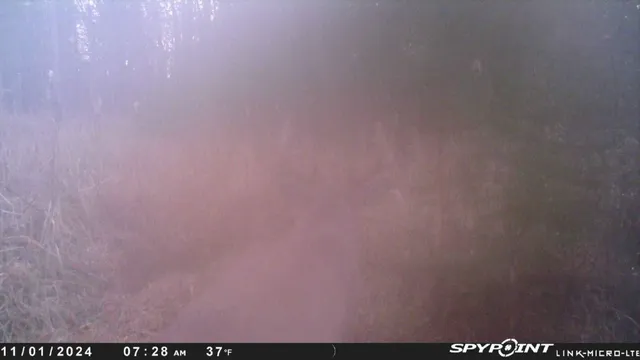 $159,000 | County Road East, Ogdensburg, WI 54962