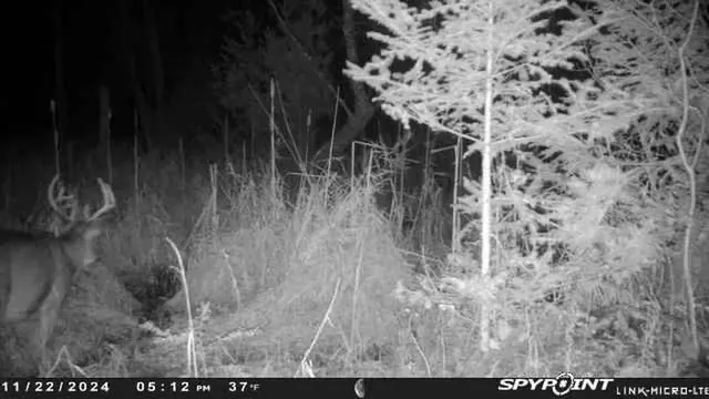 $159,000 | County Road East, Ogdensburg, WI 54962