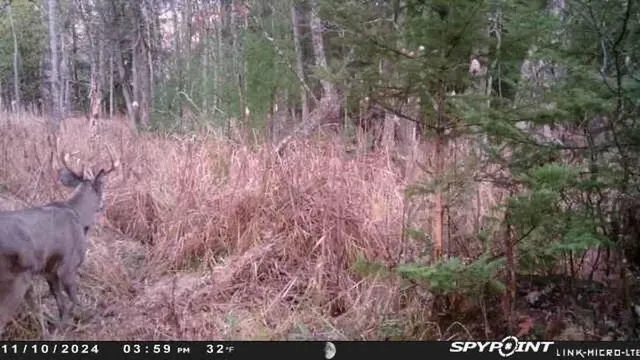 $159,000 | County Road East, Ogdensburg, WI 54962