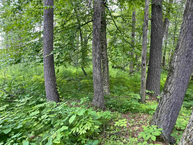 $159,000 | County Road East, Ogdensburg, WI 54962