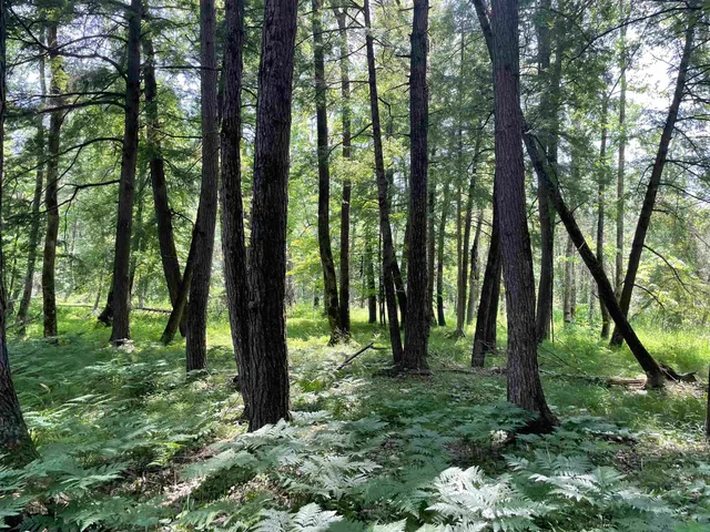 $159,000 | County Road East, Ogdensburg, WI 54962