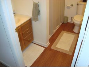 1162 Old State Rte 34 Jonesborough, TN 37659 - Photo 13 of 24 Hall Bath